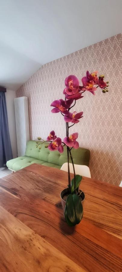 Casa Barcelli Sport & Family Apartments Торболе Экстерьер фото